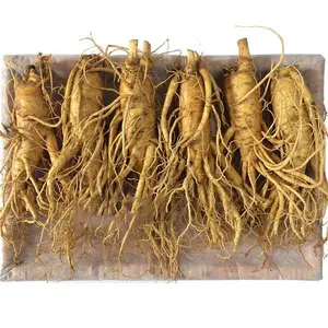Nhân Sâm Tươi Hàn Quốc 6 Củ/kg – Hàng Đẹp Đủ Tuổi