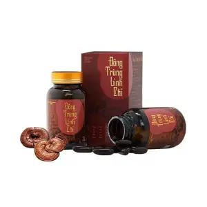 Viên Uống Đông Trùng Linh Chi GHB Hỗ Trợ Bồi Bổ Phục Hồi Sức Khỏe