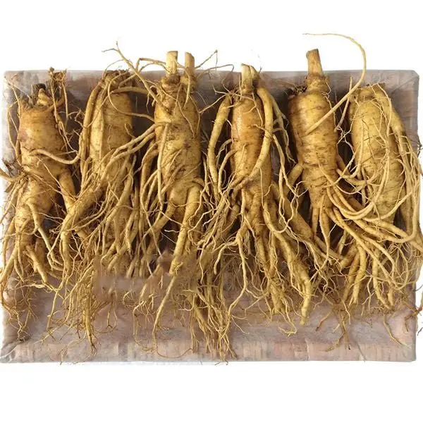 Nhân Sâm Tươi Hàn Quốc 6 Củ/kg – Hàng Đẹp Đủ Tuổi